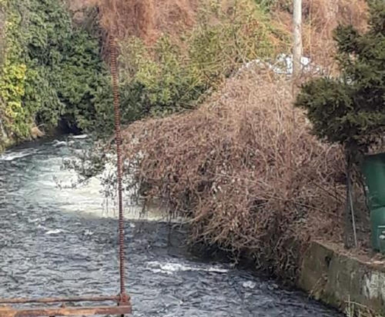 AMBIENTE Episodi legati alla riconversione della cartiera Burgo Puzza in centro Verzuolo Ancora schiuma nel rio hrgerhg khkjh