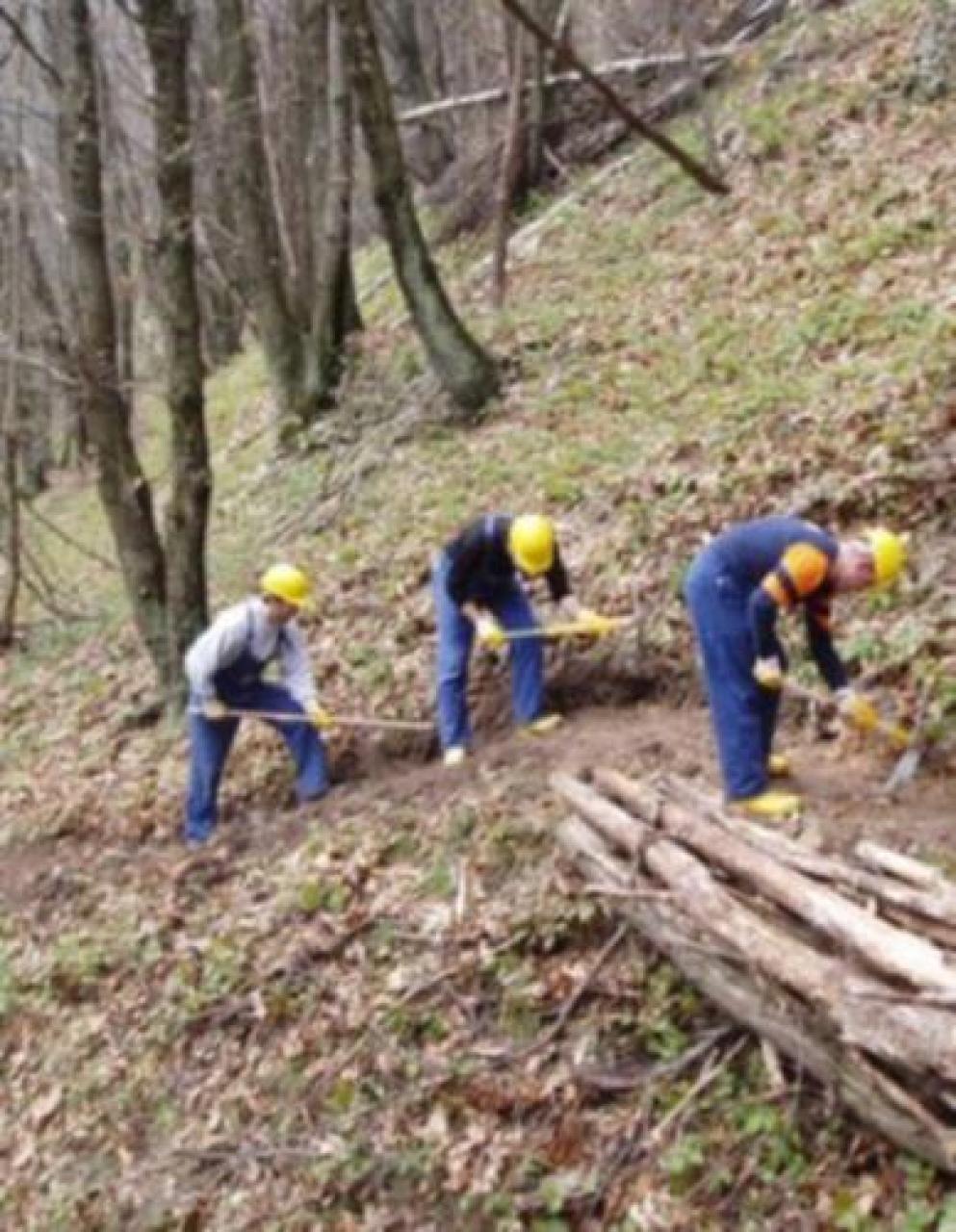Bilancio vicino ai 5 milioni Cura del territorio e foreste l’Unione montana fa i conti