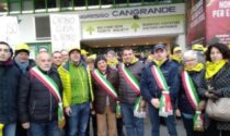 Dalla pianura a Verona per dire stop alla cimice