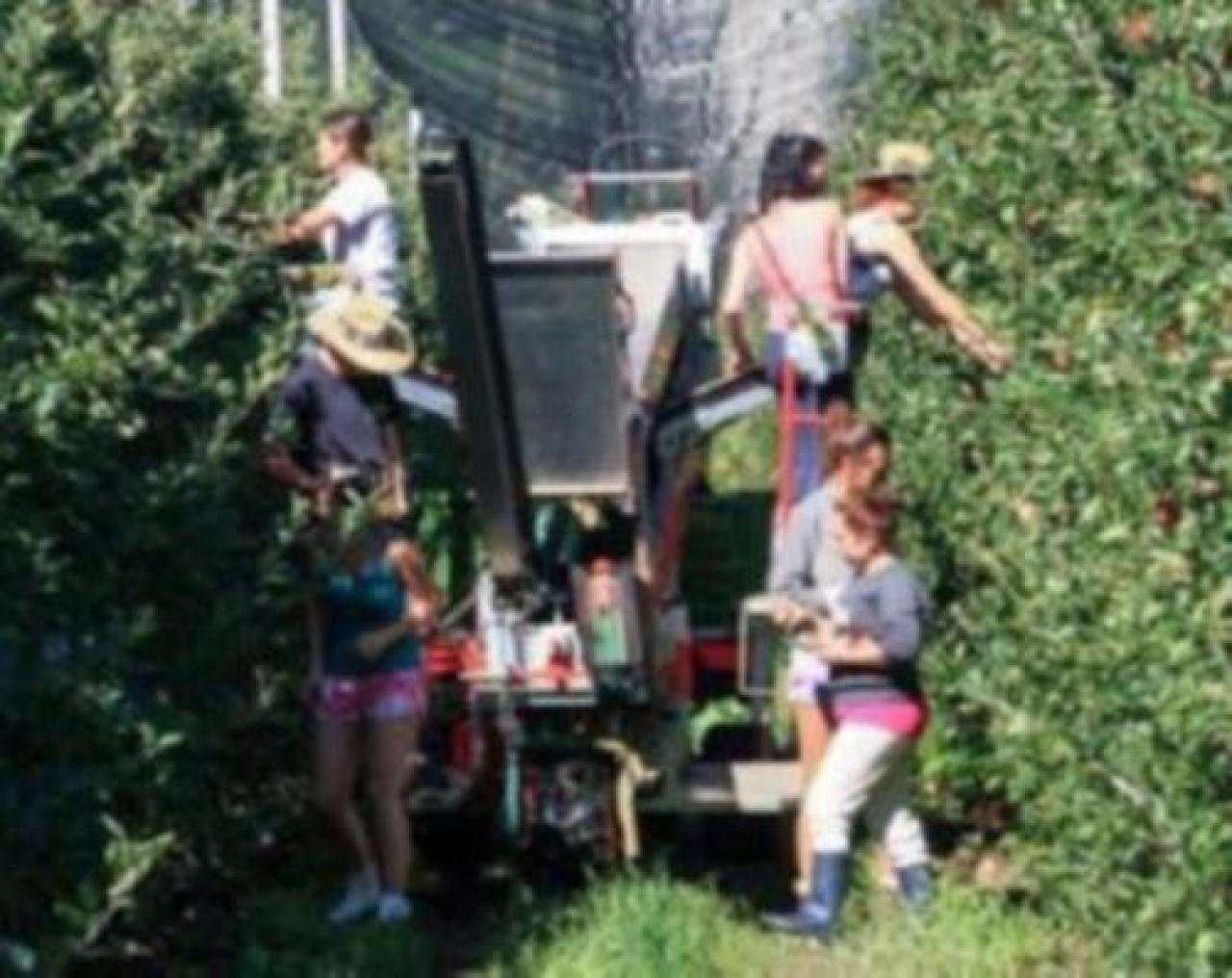 I produttori agricoli non sono criminali