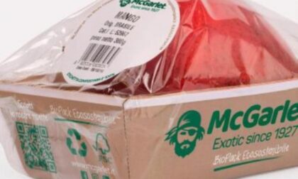 Il cartone biodegradabile rivoluziona l’imballaggio