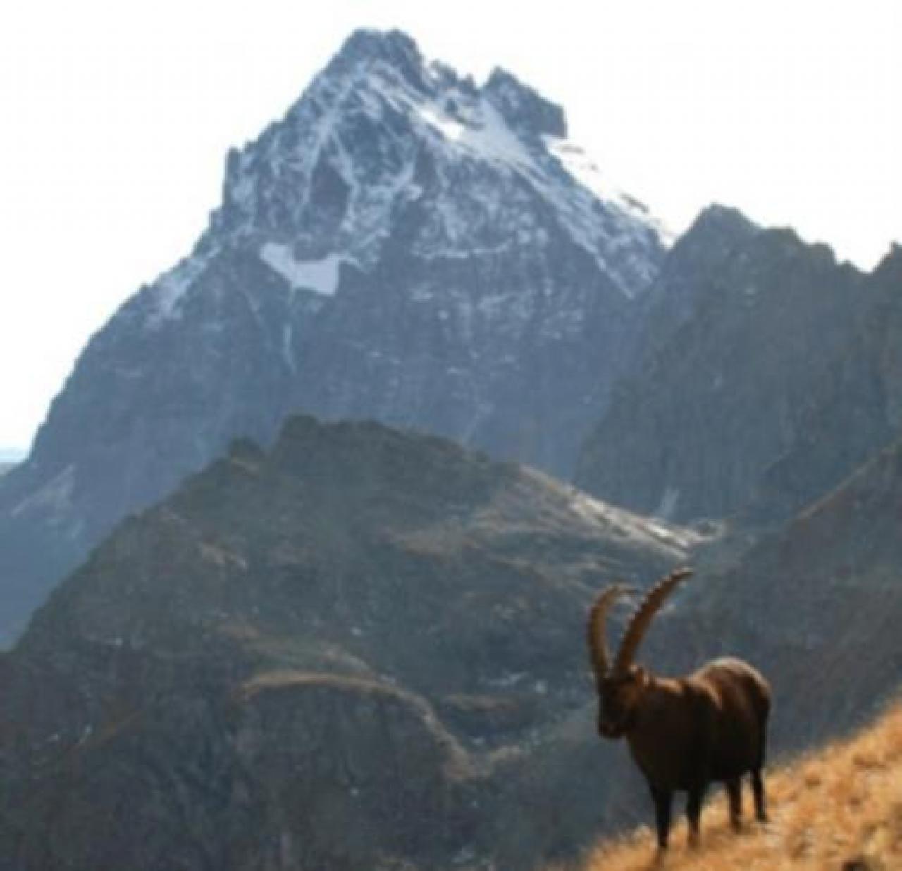 Il Viso che si sbriciola e il presidente del Parco