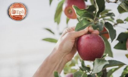 Lagnasco Group a Fruit Logistica per lanciare online la mela Eplì