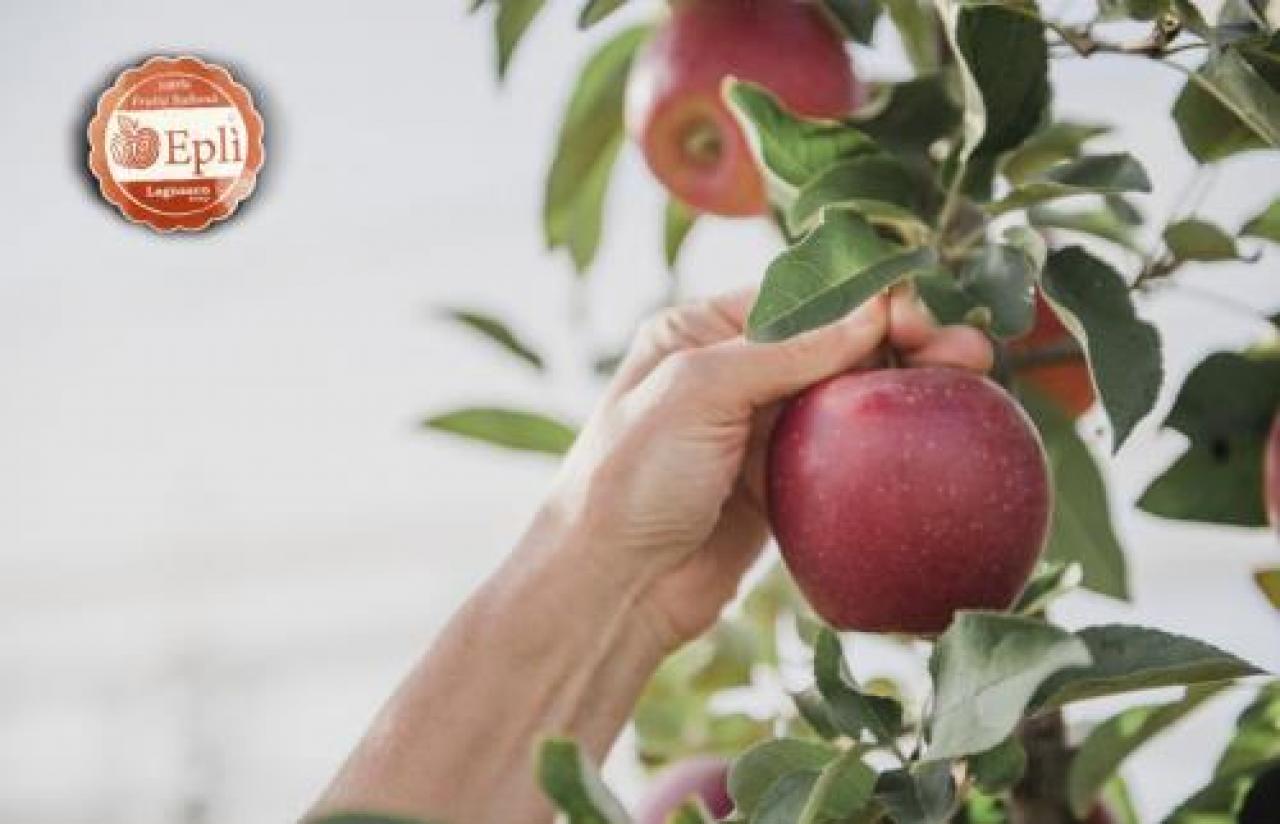 Lagnasco Group a Fruit Logistica per lanciare online la mela Eplì