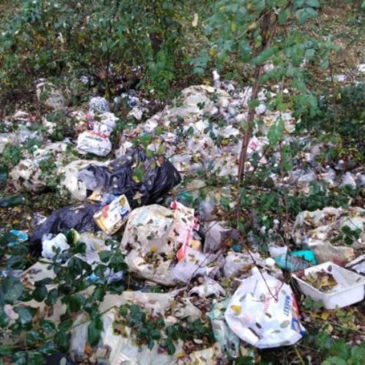 Ripulito il bosco di Staffarda. E il vandalo paga