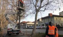 VIALE Abbattimenti e migliorie: il Comune valorizza la sua cartolina green Al via la sistemazione della Leia di Verzuolo CONTROLLO DI VICINATO: UN INCONTRO A VERZUOLO