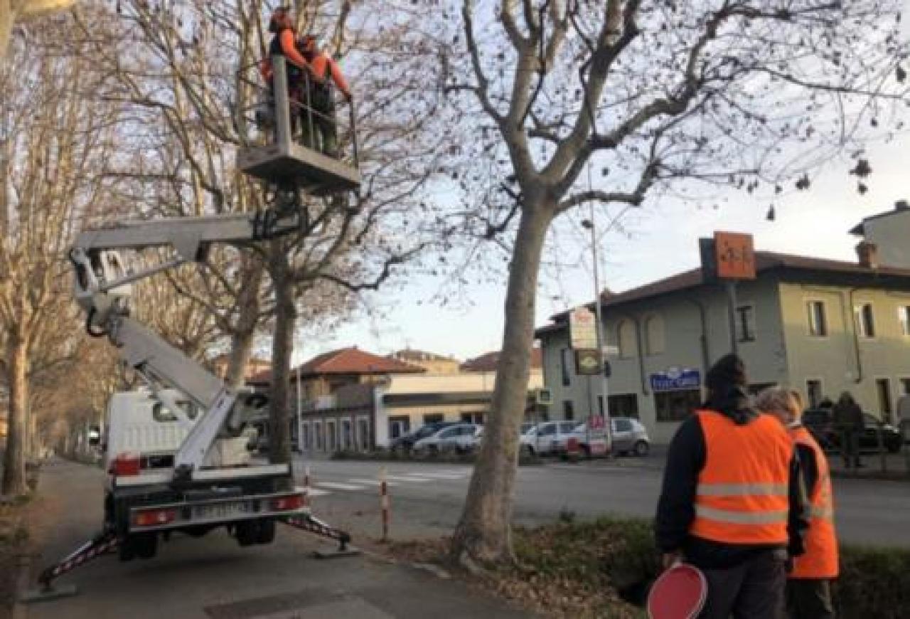 VIALE Abbattimenti e migliorie: il Comune valorizza la sua cartolina green Al via la sistemazione della Leia di Verzuolo CONTROLLO DI VICINATO: UN INCONTRO A VERZUOLO