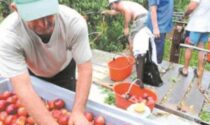 Agricoltura, preoccupano i blocchi e un generale calo dei consumi