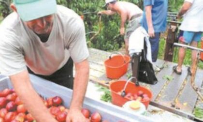 Agricoltura, preoccupano i blocchi e un generale calo dei consumi