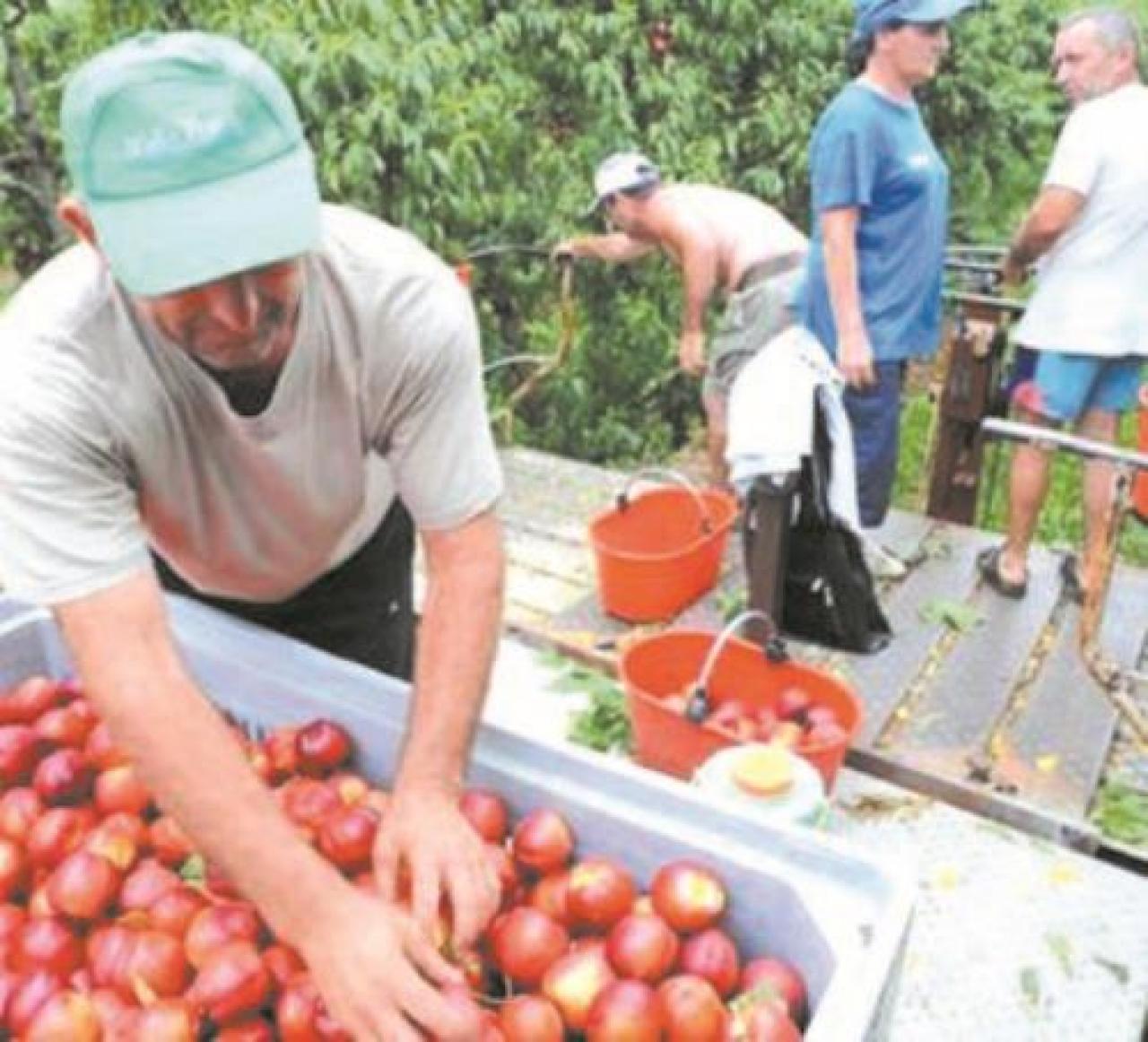 Agricoltura, preoccupano i blocchi e un generale calo dei consumi