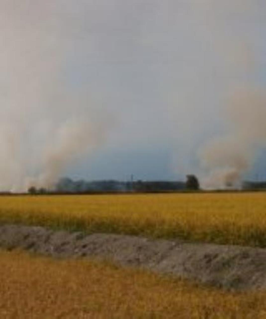 Deroga della Regione Si bruciano gli sterpi