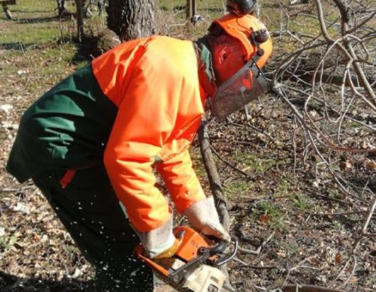 Esercitazione nel parco del castello