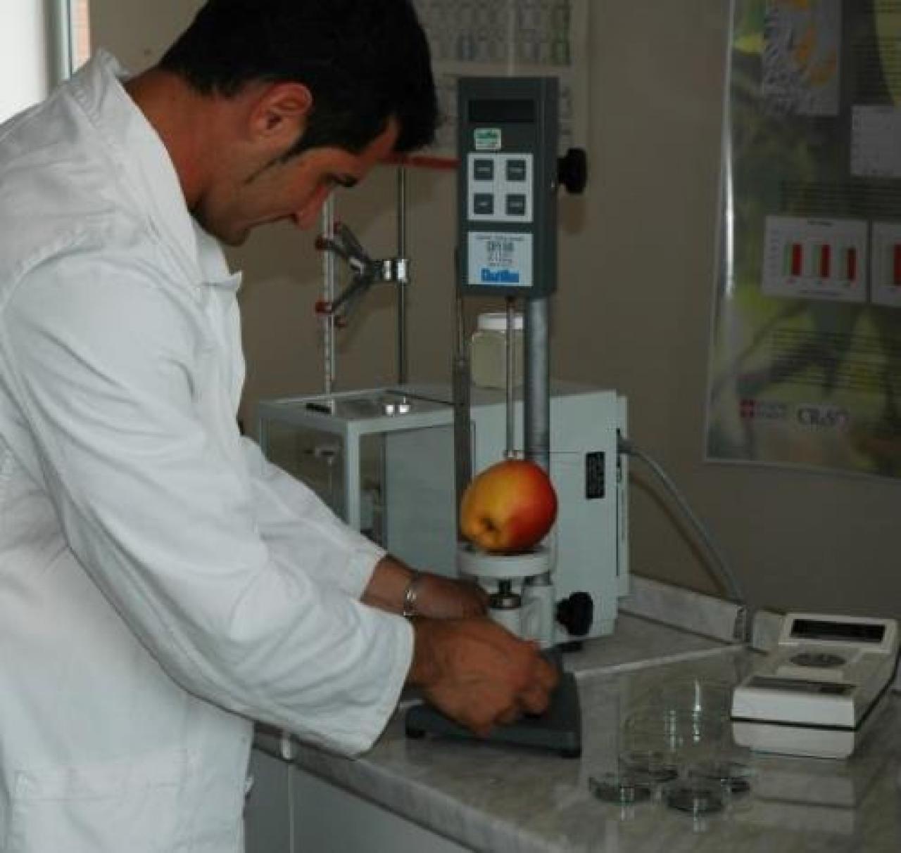 Filiera agroalimentare Agrion in prima linea