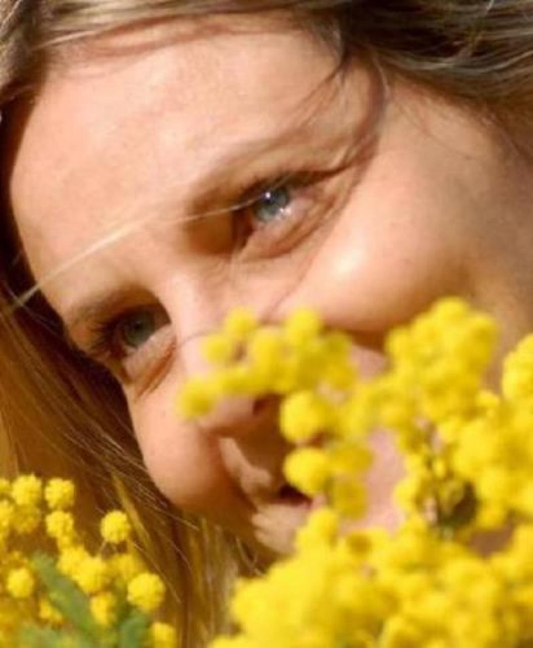 Fiore gentile, la mimosa cresce su terreni difficili