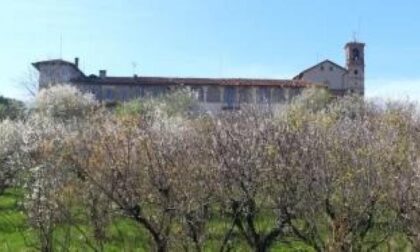 La primavera esplode sulla collina di san bernardino