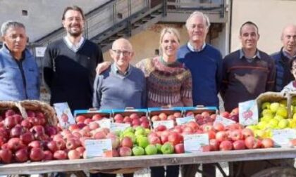 Melaverde a Lagnasco