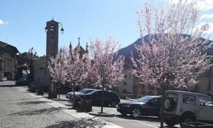 Una primavera di speranza fiorisce in piazza a Sampeyre