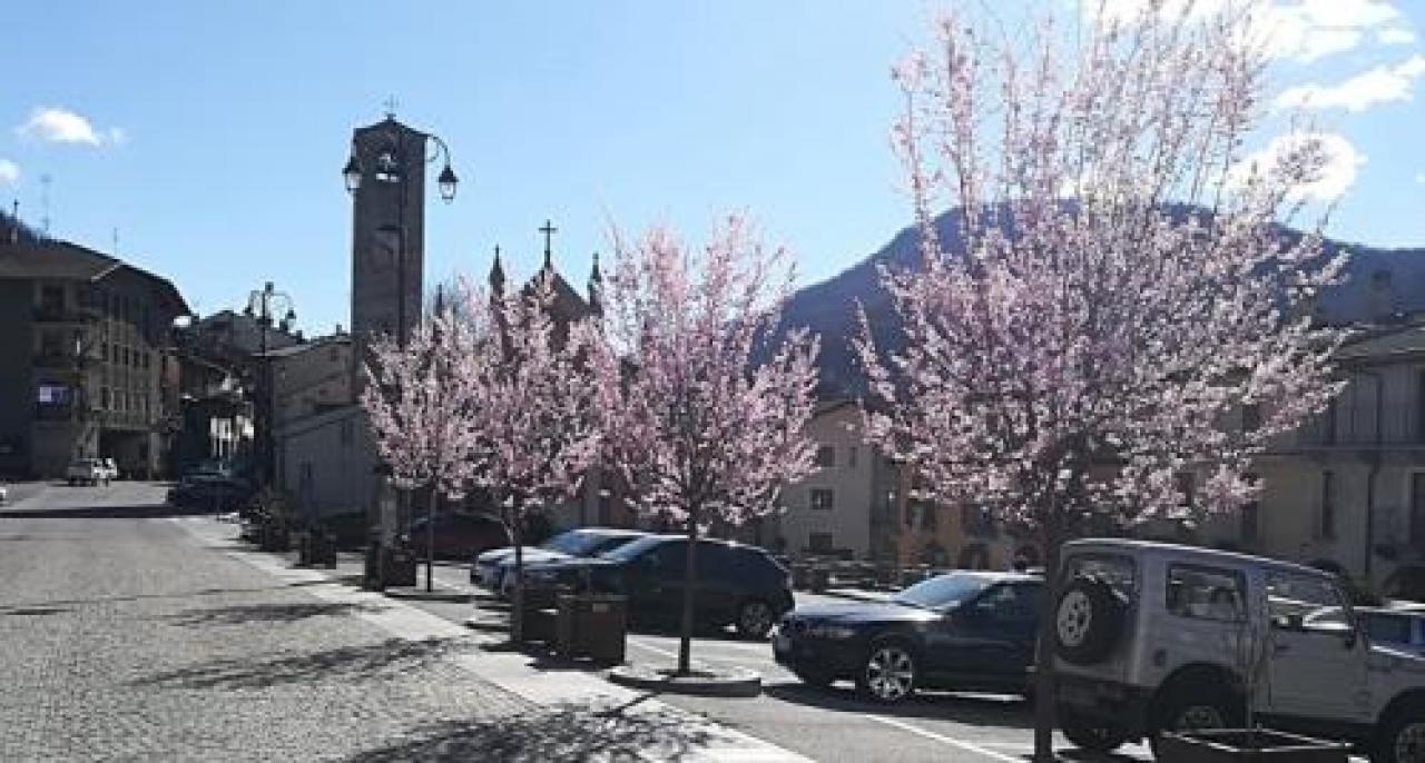 Una primavera di speranza fiorisce in piazza a Sampeyre