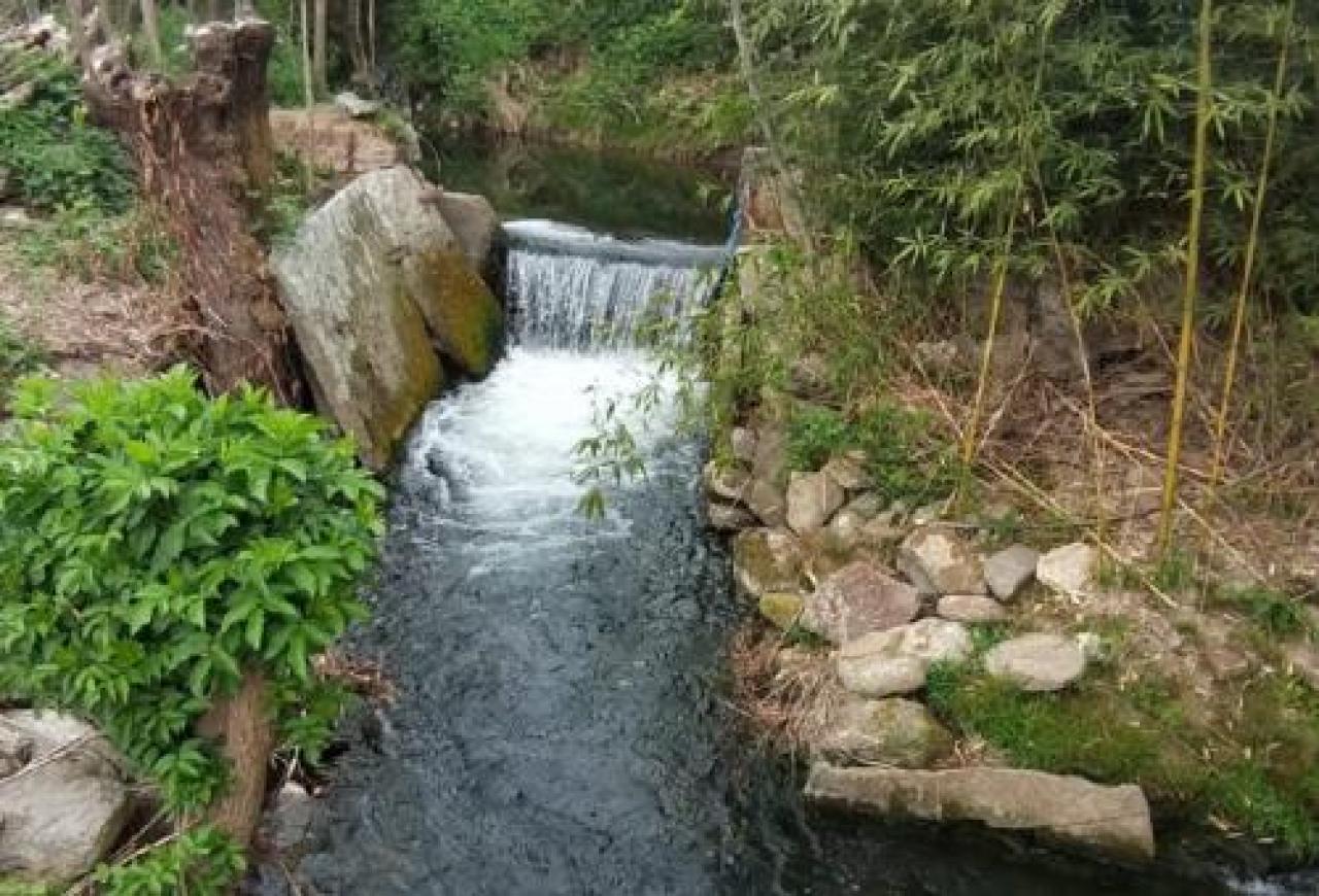 La prova che a inquinare non è il settore primario, false accuse alla zootecnia Le acque dei fiumi mai così pulite da anni nonostante le attività agricole siano continuate