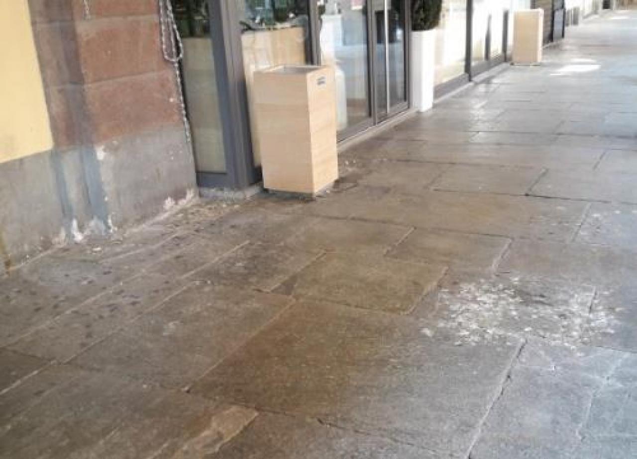 Moria di piccioni e sterco nel salotto di Saluzzo