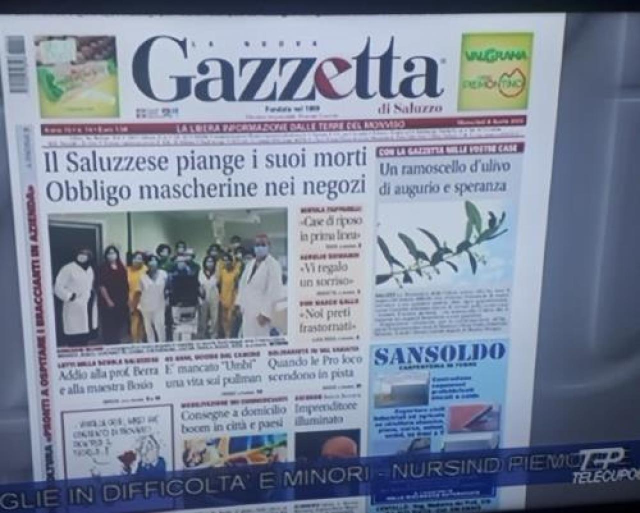 Ramoscello d’ulivo, un dono simbolico gradito dai nostri lettori