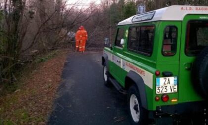 Alberi caduti in strada, al lavoro gli aib