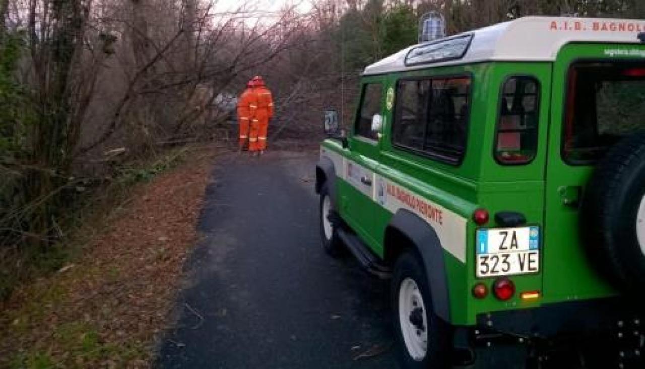 Alberi caduti in strada, al lavoro gli aib