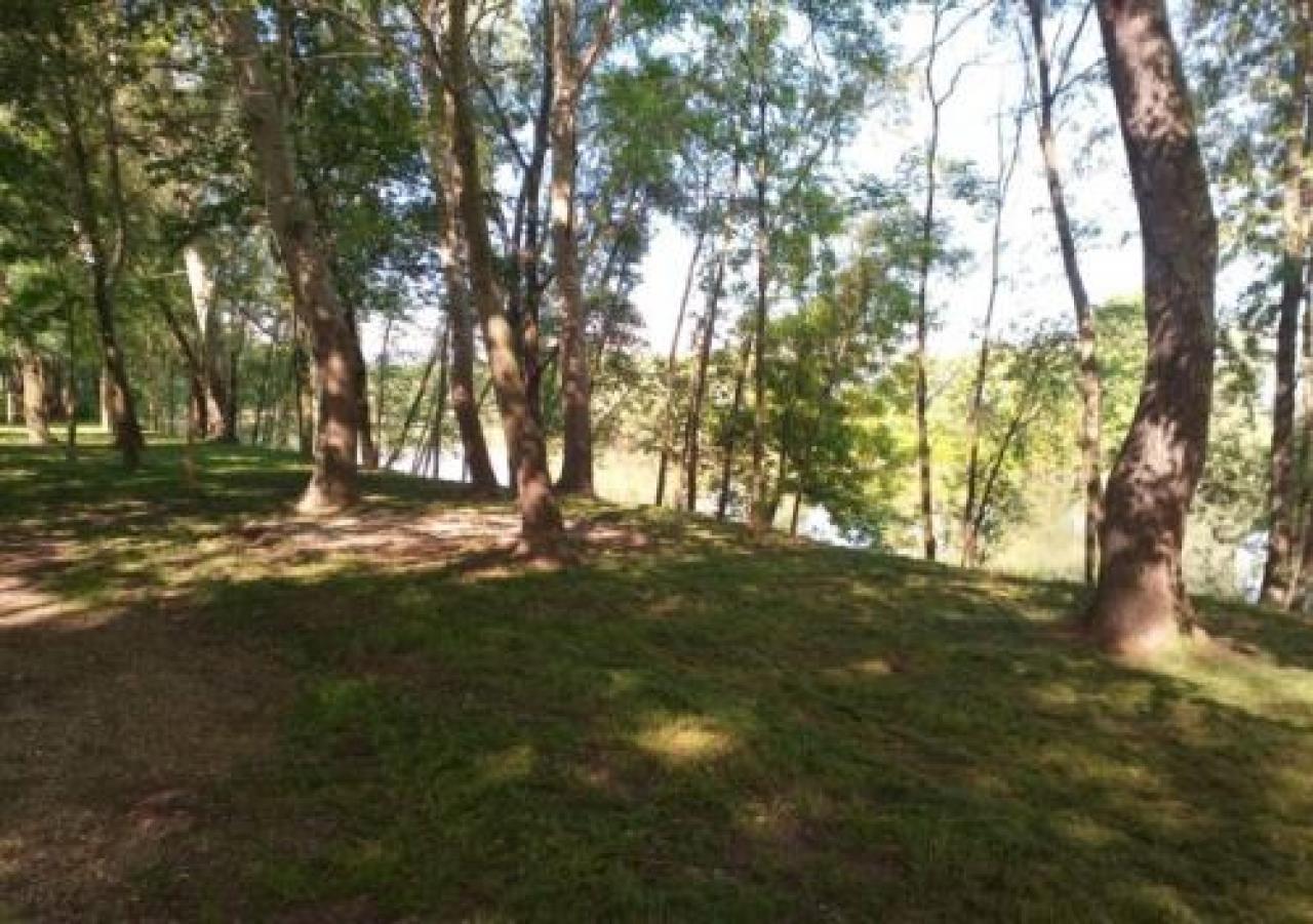 Attività motoria al Percorso salute lungo il Po