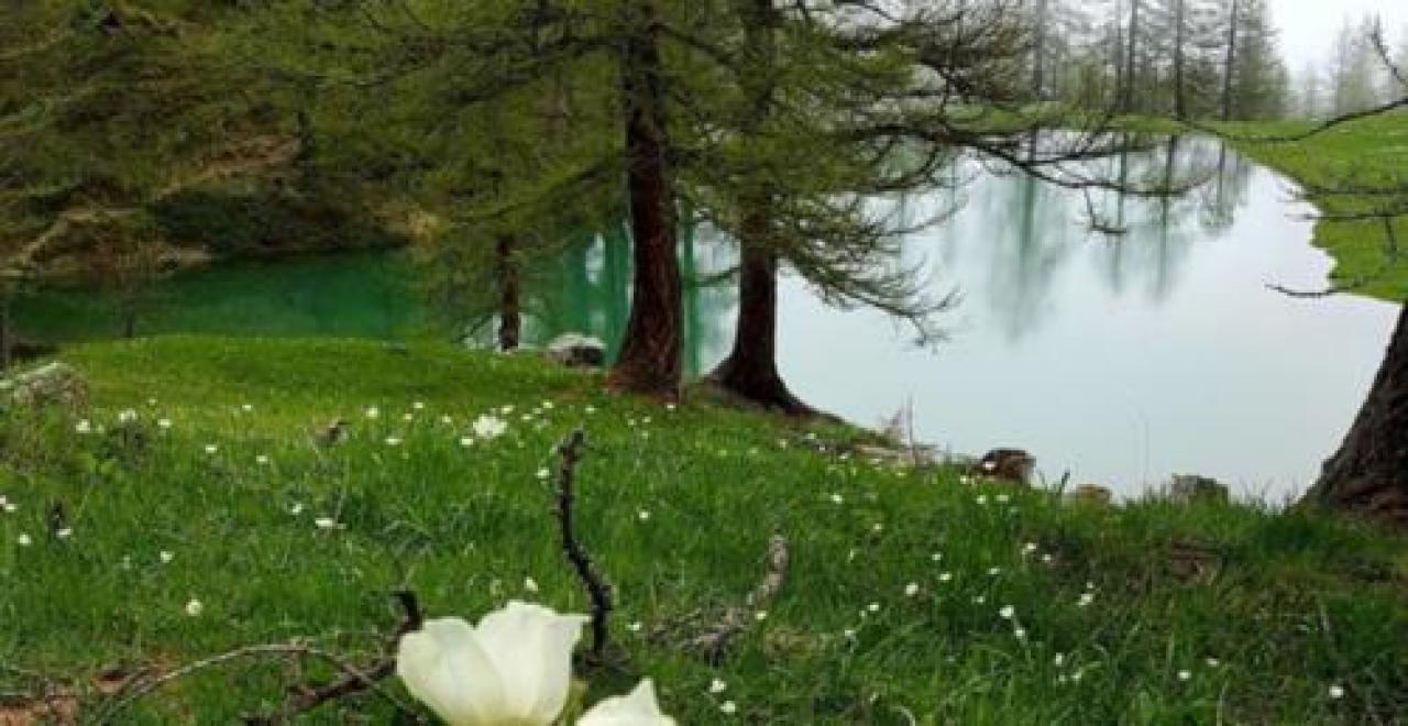 Bonus Valle Maira per gli eroi della sanità