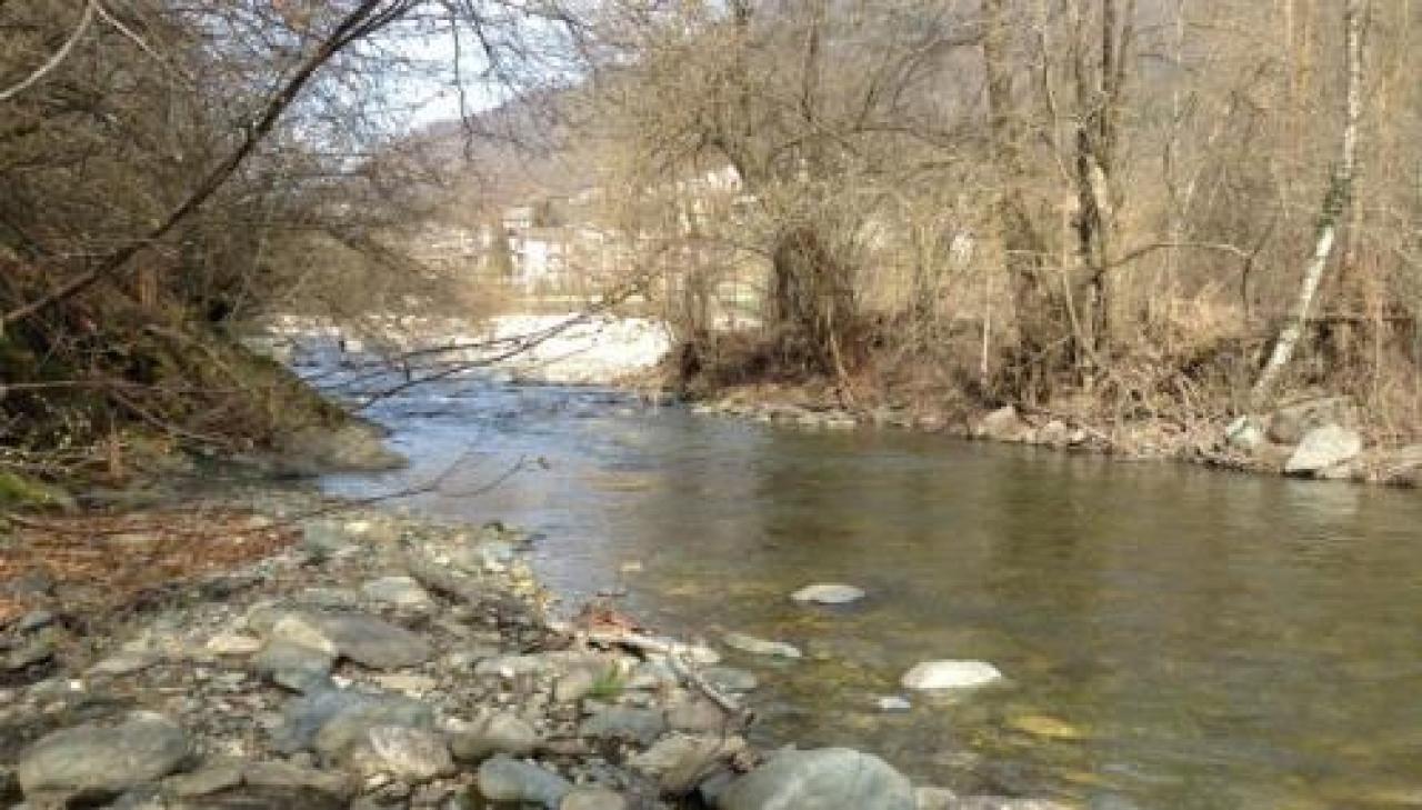 Chi fa pulizia lungo il Varaita può portarsi via il legname