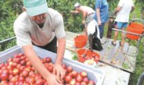 Container in cascina, serve un protocollo sanitario