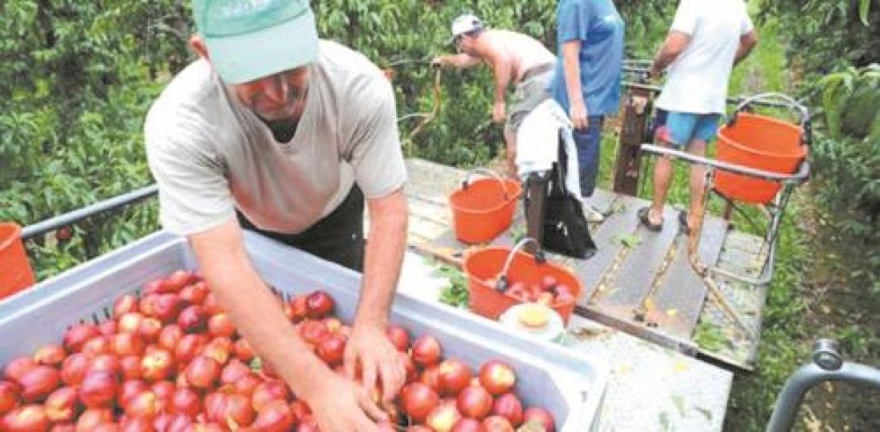 Container in cascina, serve un protocollo sanitario