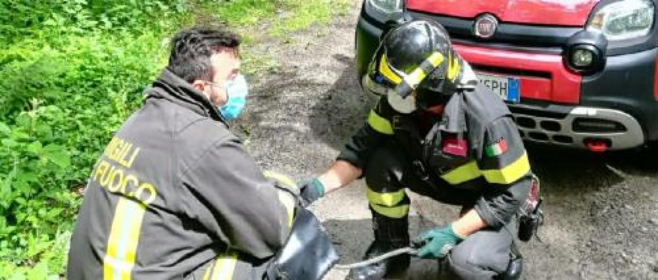 I pompieri salvano un cane caduto nel torrente