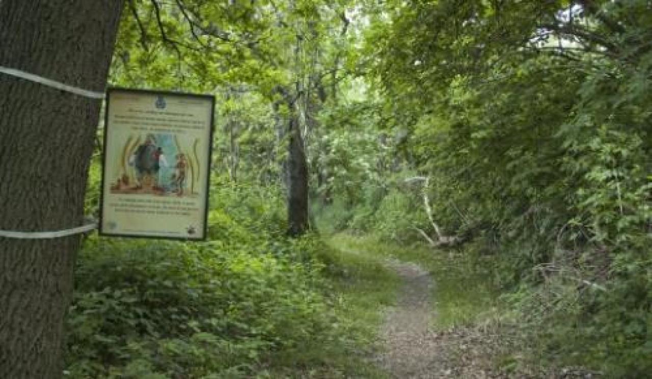 Novità a Vottignasco: apre il sentiero Suoni dell’acqua Monsola, grave decoratore