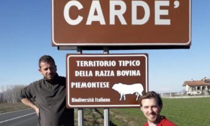 Territorio della razza bovina piemontese