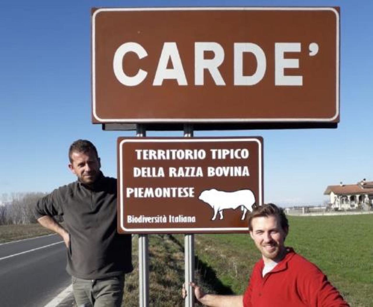 Territorio della razza bovina piemontese