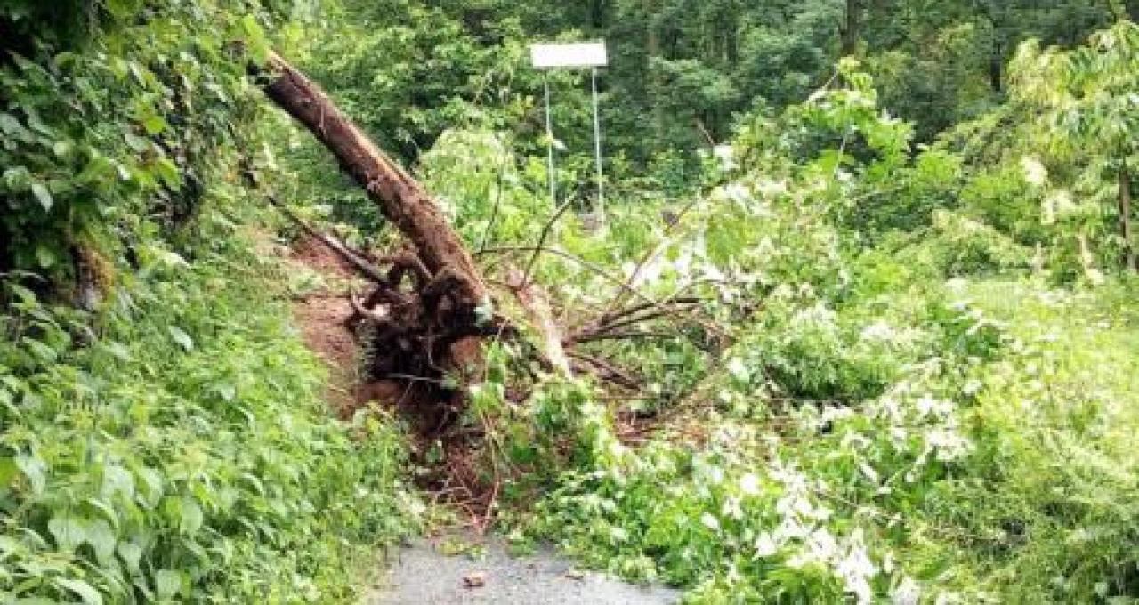 Weekend di frane in val Po e Bronda Smottamenti a Calcinere e Revello