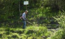 Ambientalisti in allarme: sfalcio indiscriminato sul Sentiero dei ciclamini