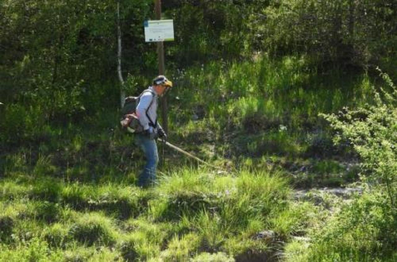 Ambientalisti in allarme: sfalcio indiscriminato sul Sentiero dei ciclamini