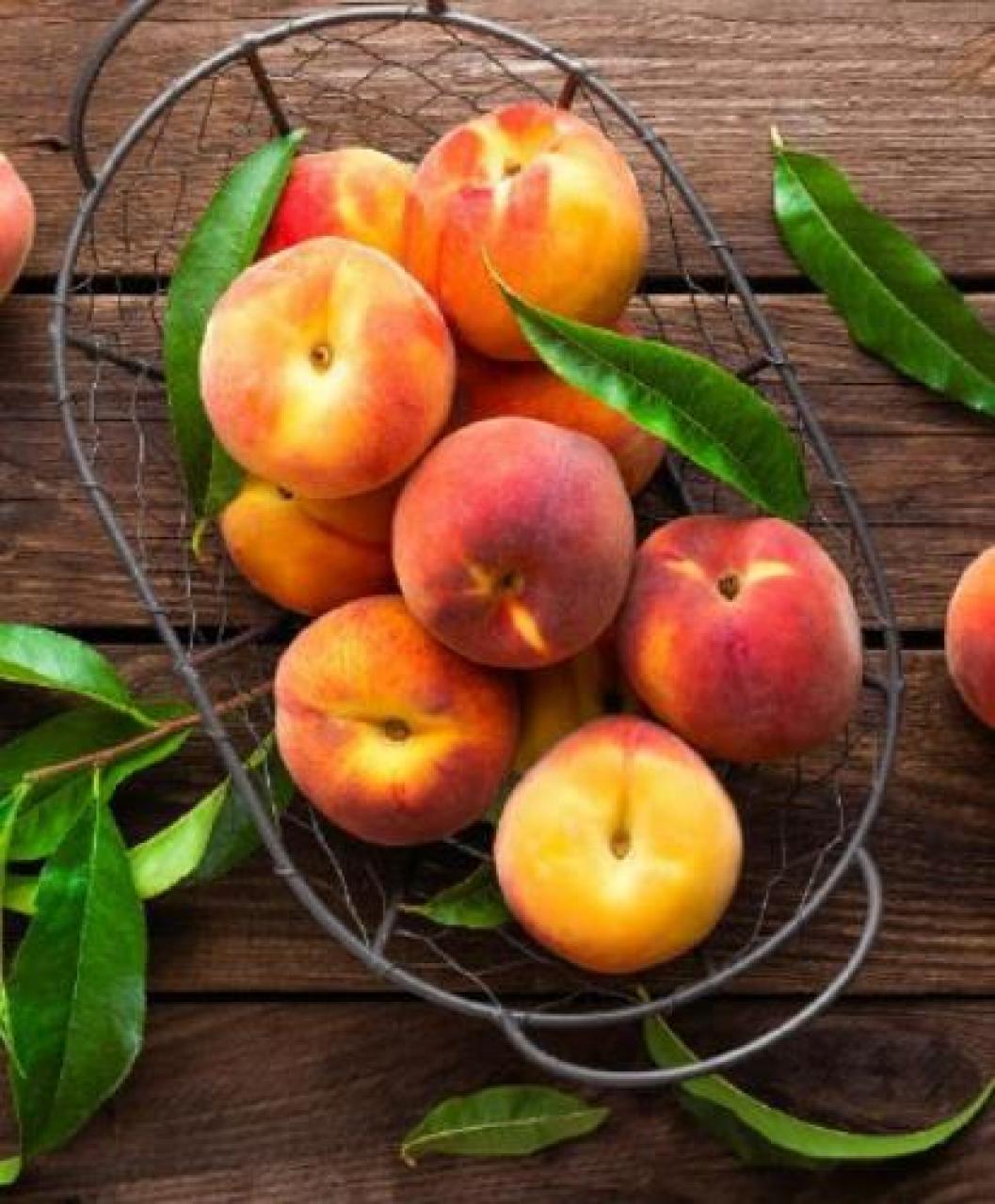 DIAMO VALORE AL MONDO FRUTTICOLO UNA GRANDE REALTÀ MERITA UNA VETRINA