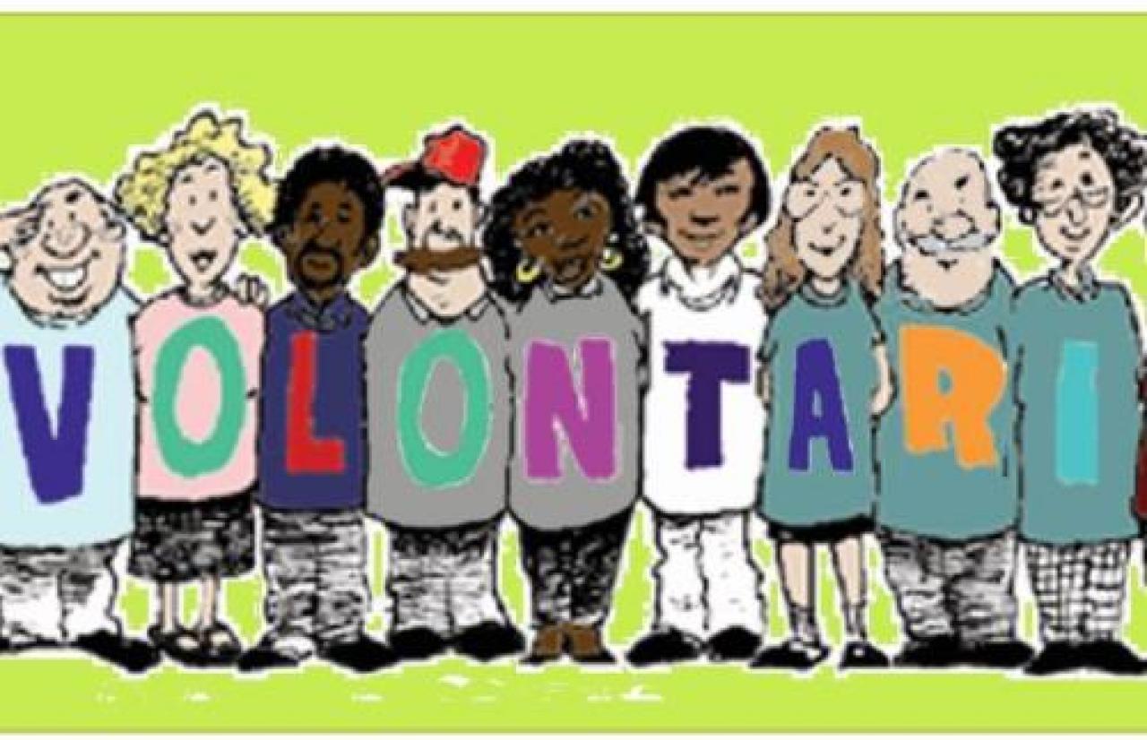 Il volontariato si attrezza per il web