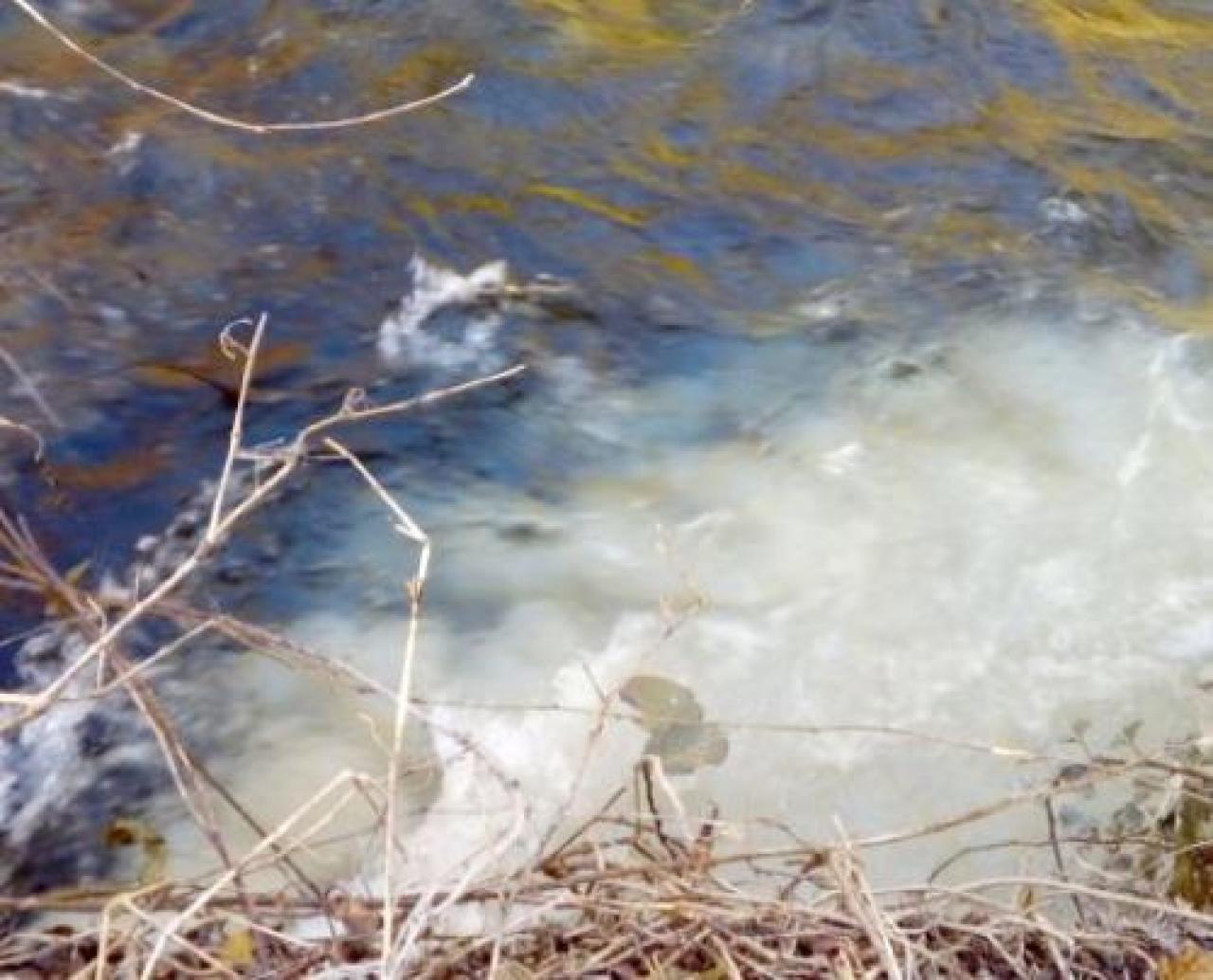 La puzza arriva fino a Manta Arpa monitora l’aria della Burgo verzuolo, il comune dispone una nuova valutazione su emissioni E ODORI