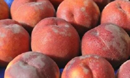 Osservatorio Produzione di pesche in calo dopo le gelate primaverili