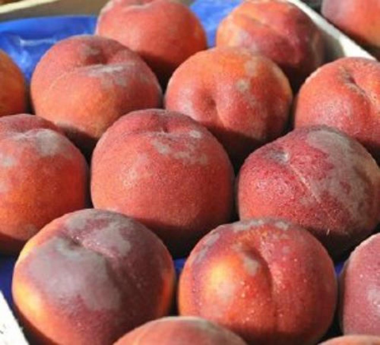 Osservatorio Produzione di pesche in calo dopo le gelate primaverili