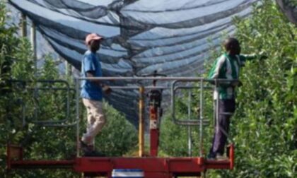 Saluzzo, torna il nodo degli stagionali Coldiretti: non sparate sui produttori