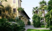 Tra l’albero del rosario e l’incanto dell’Alpineto