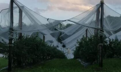 Vento e freddo minacciano la frutta Termometro sotto zero in pianura