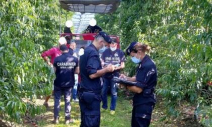 Carabinieri nei frutteti per i controlli su braccianti e rispetto norme Covid