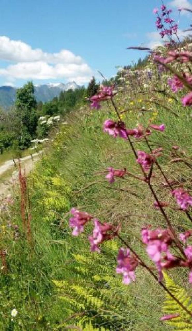 Cari lettori auguri di buona estate
