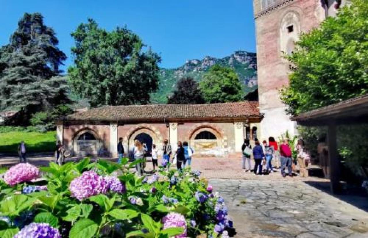 Il piacere di riassaporare la Bellezza